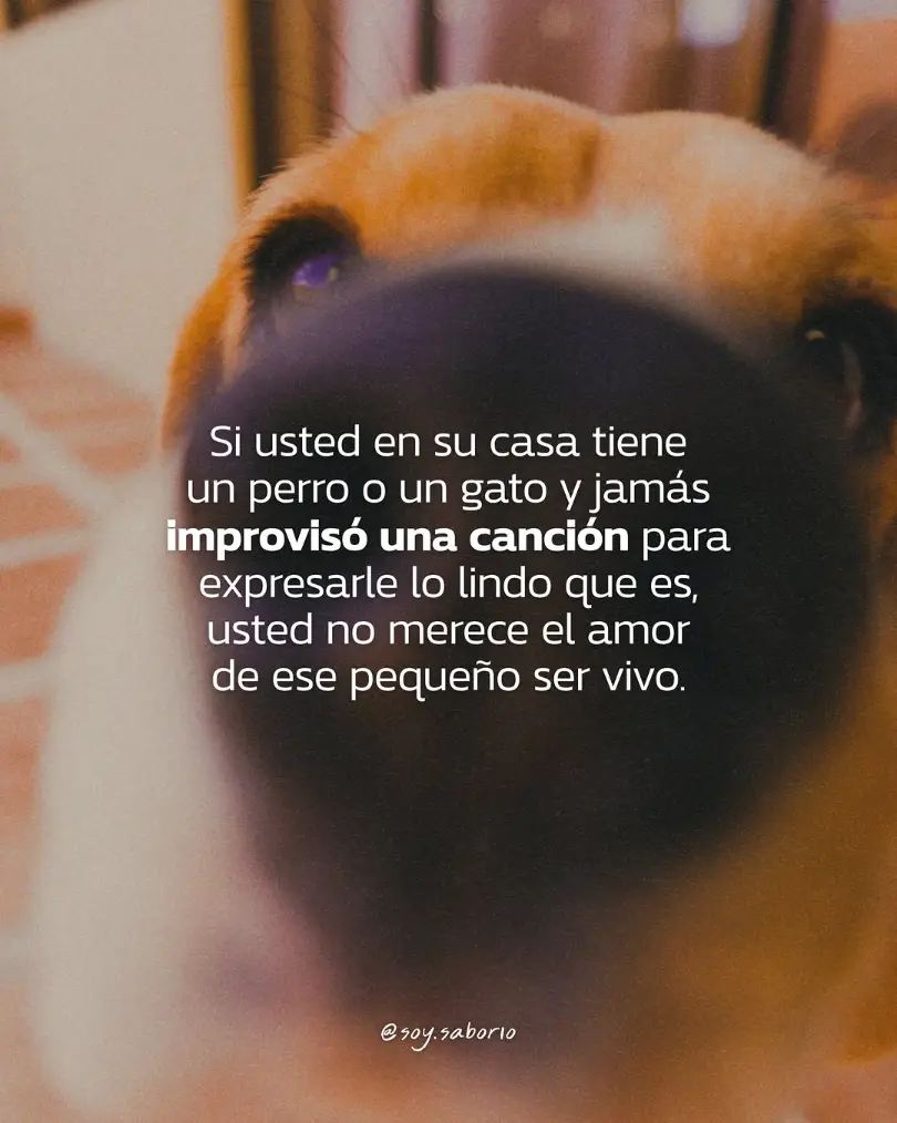 Publicación de @soy.elmaecr